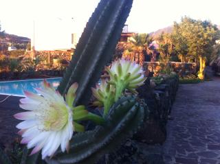 La Kuddia - Pantelleria - 6