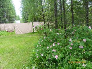 End of the road B & B - 6