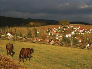 Ferienhaus 32 In Kirchheim - 5