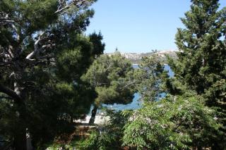 Apartments by the sea Stara Novalja, Pag - 4142 - Novalja - 1