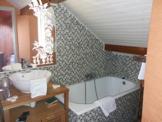 Appartements les Bressanes - Selonnet - 2