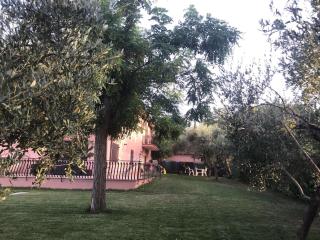 Chalet Delle Rose Saludecio - Saludecio - 5