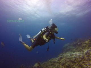 Rasdhoo Coralville - 6