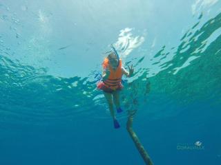 Rasdhoo Coralville - 8