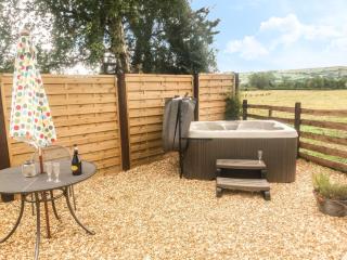 Bicton Lodge - Clun - 8