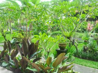 Bucu Guest House - Ubud - 3