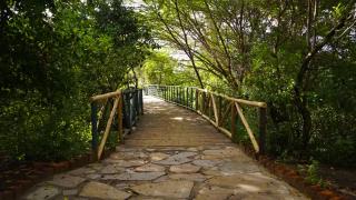 PrideInn Mara Camp & Cottages - Talek - 4