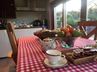 Glan Llyn Farm House - 2
