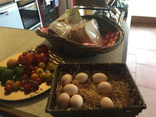 Glan Llyn Farm House - Mold - 3