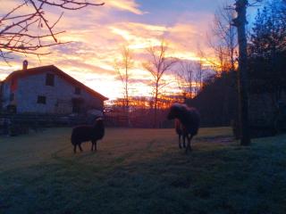 Casa Rural La Torraya - 9