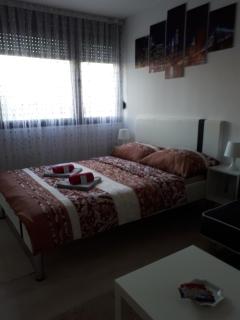 Studio Apartman Marija - Zagreb - 6