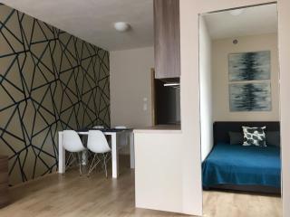 Modrý Apartmán - Dolní Morava - 1