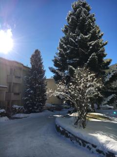 Apartment Roccabella - Davos - 8