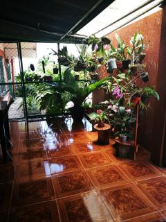 Hospedaje Las Orquídeas - 2