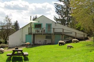 Harry's Place - Marche-en-Famenne - 9