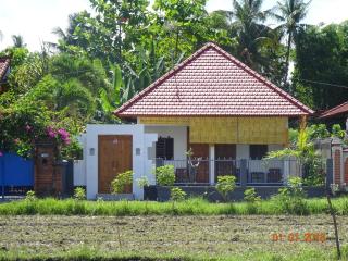 Murnis Bungalow - Lovina - 0