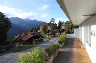Hirschen Residence 2 - Wengen - 2