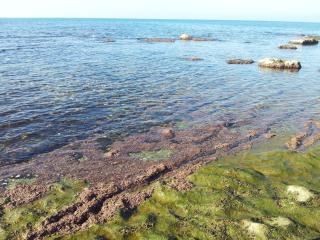 Le Ninfe Bed and Breakfast - Anzio - 5