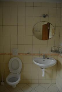 Ubytování U Dvořáků - Veselí nad Lužnicí - 7