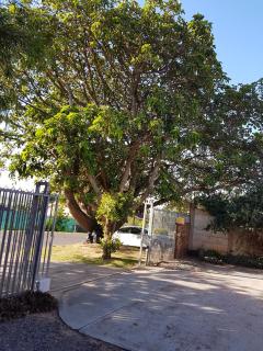 Fig Tree Manor Self Catering - Blythedale - 1