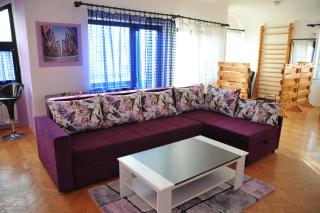 Apartment Radojkovic - 7