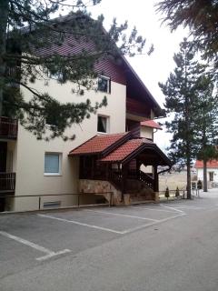 Snow Flake - Zlatibor - 7