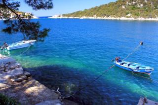 Apartments by the sea Zaklopatica, Lastovo - 8325 - 8