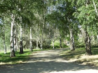 O Naturel Vineyard Stay - Cromwell - 7