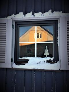 Cardinalis house - 1