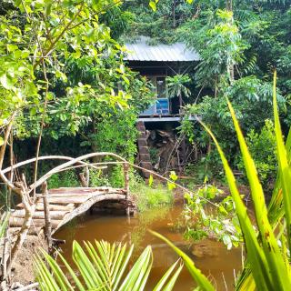 Sumatra Ecolodge - Sungaipisang - 1