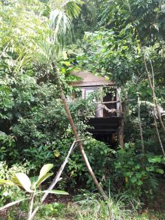 Sumatra Ecolodge - Sungaipisang - 2