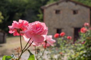 La Piana Dei Castagni - Castel dʼAiano - 1