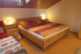 Biohof Haus Wieser - Abtenau - 1