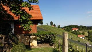 Kellerstöckl am Rosenberg - Straden - 5