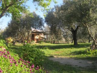 B&B Sa Ingia - Càbras - 3