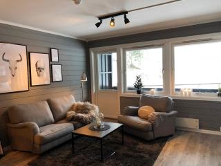 Storehorn Apartments - Hemsedal - 0