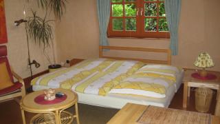 Gästeappartement Appricot - Adendorf - 3