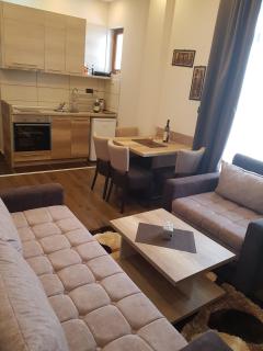 Apartment M1 MEGI, Milmari Resort - Kopaonik - 7