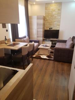 Apartment M1 MEGI, Milmari Resort - Kopaonik - 0