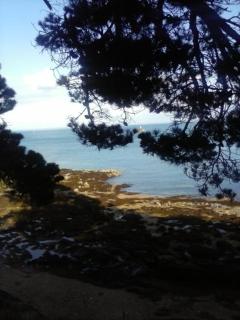 les neyes - Étables-sur-Mer - 2