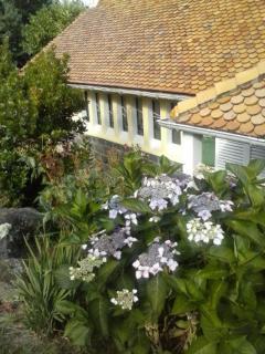 les neyes - Étables-sur-Mer - 5