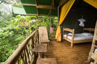 La Tigra Rainforest Lodge - Fortuna - 4