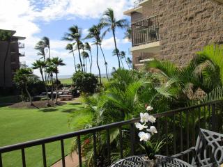 Kauhale Makai Condo on the Beach - 0