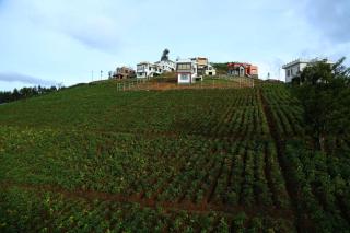 Vrindhavan Mist City Resorts - Kanthalloor - 1