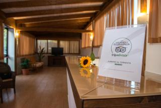 Albergo Torrente - Vieste - 8