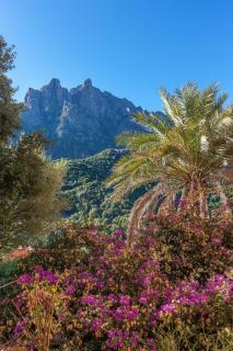 Hôtel Colombo- Porto Corse - Porto Ota - 8