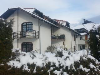 Vila Stojkovic Zlatibor - Zlatibor - 0