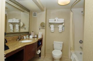 Comfort Inn Anaheim Resort - 4
