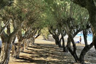All Senses Ocean Blue Sea Side Resort - All Inclusive - 5