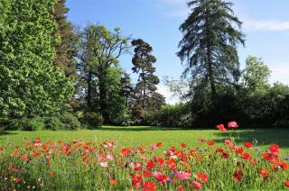 Domaine des Maréquiers chambre Mélilot - 1